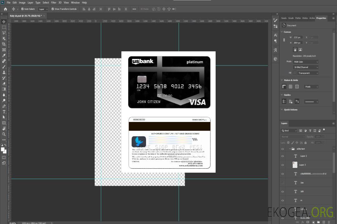 Carte visa platine de la banque américaine template